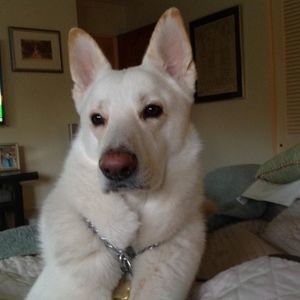 Meet your Posher, Geraldine